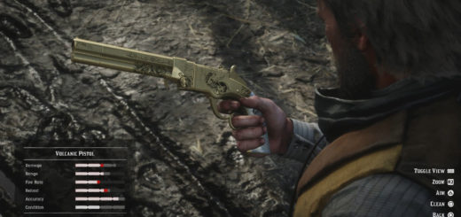 Cleaning weapon using Gun Oil.