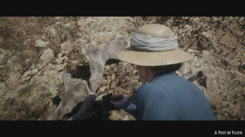 Dinosaur Bones Locations Guide Red Dead Redemption 2
