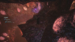 Purple Orb Fragment.