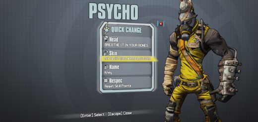 Image showing one of the raid heads and colors