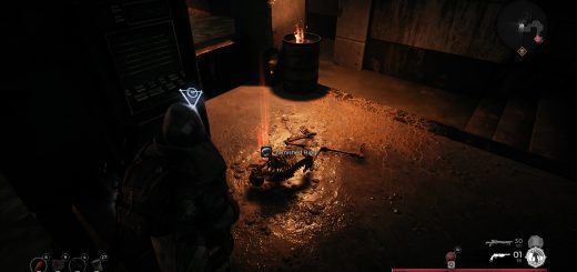 Featured image on Tarnished Ring guide