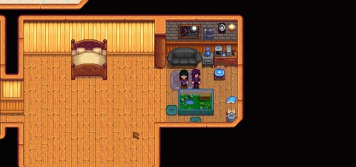 Sebastian in the farmhouse with the frog inside a terrarium, part of his 14-Heart Event in Stardew Valley, showing his newly created home for the rescued frog.