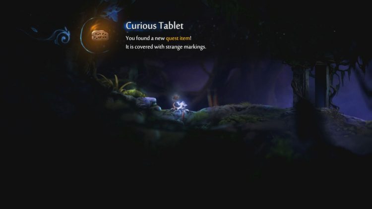 Featured image on Into the Burrows guide
