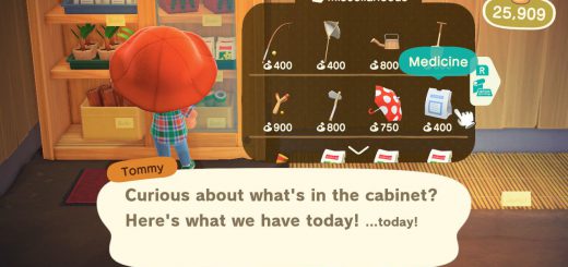 Featured image Where to Buy Medicine for Hornet Stings for Animal Crossing New Horizons