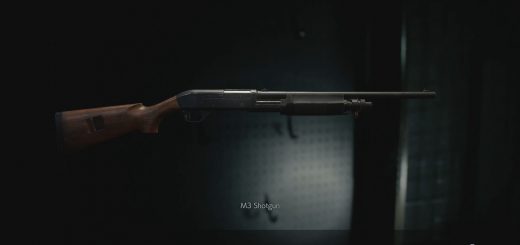 The Shotgun in the gun cabinet.