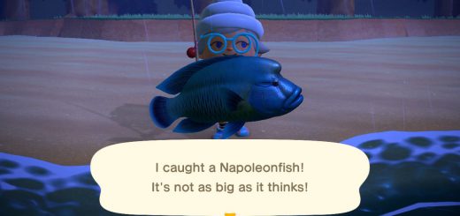 Featured image on Animal Crossing New Horizons how to catch Napoleonfish guide.