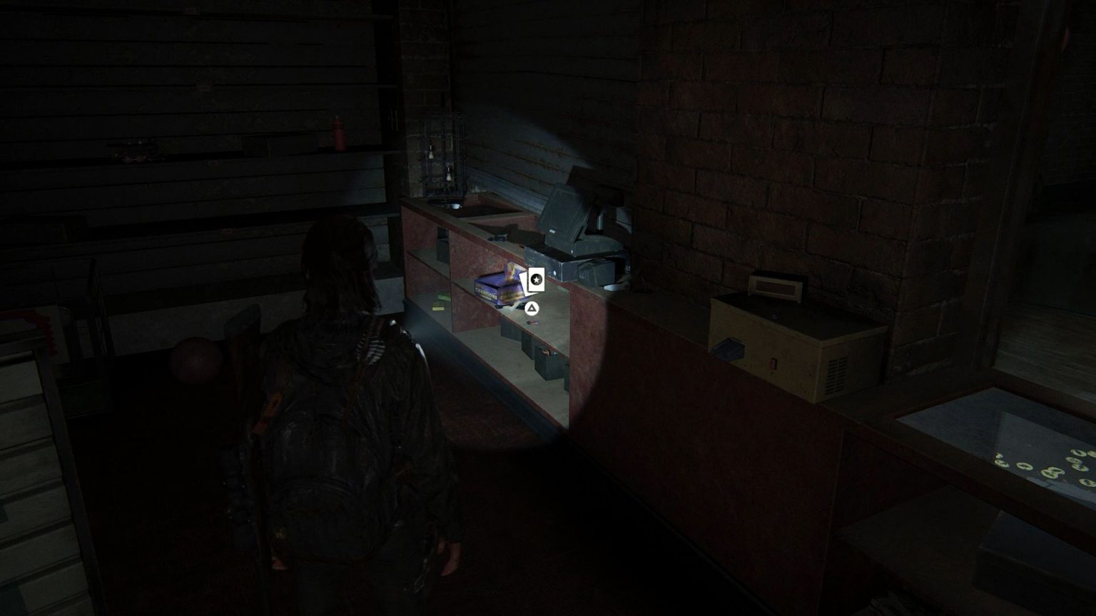 The Last of Us 2 The Flooded City Collectibles Guide Hold to Reset