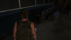 The location of the Alaska Coin in The Last of Us Two.