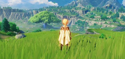 A screenshot from Genshin Impact showing the character standing in a grassy field.