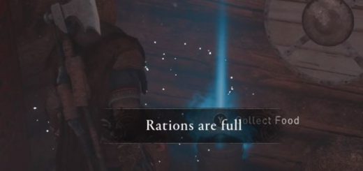 Rations in Assassin's Creed Valhalla.