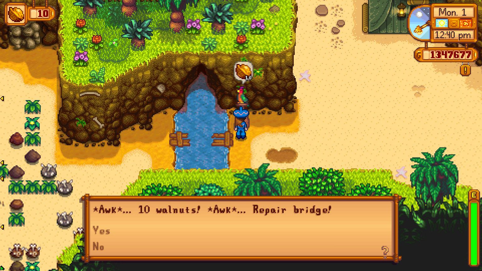 Dig site stardew valley