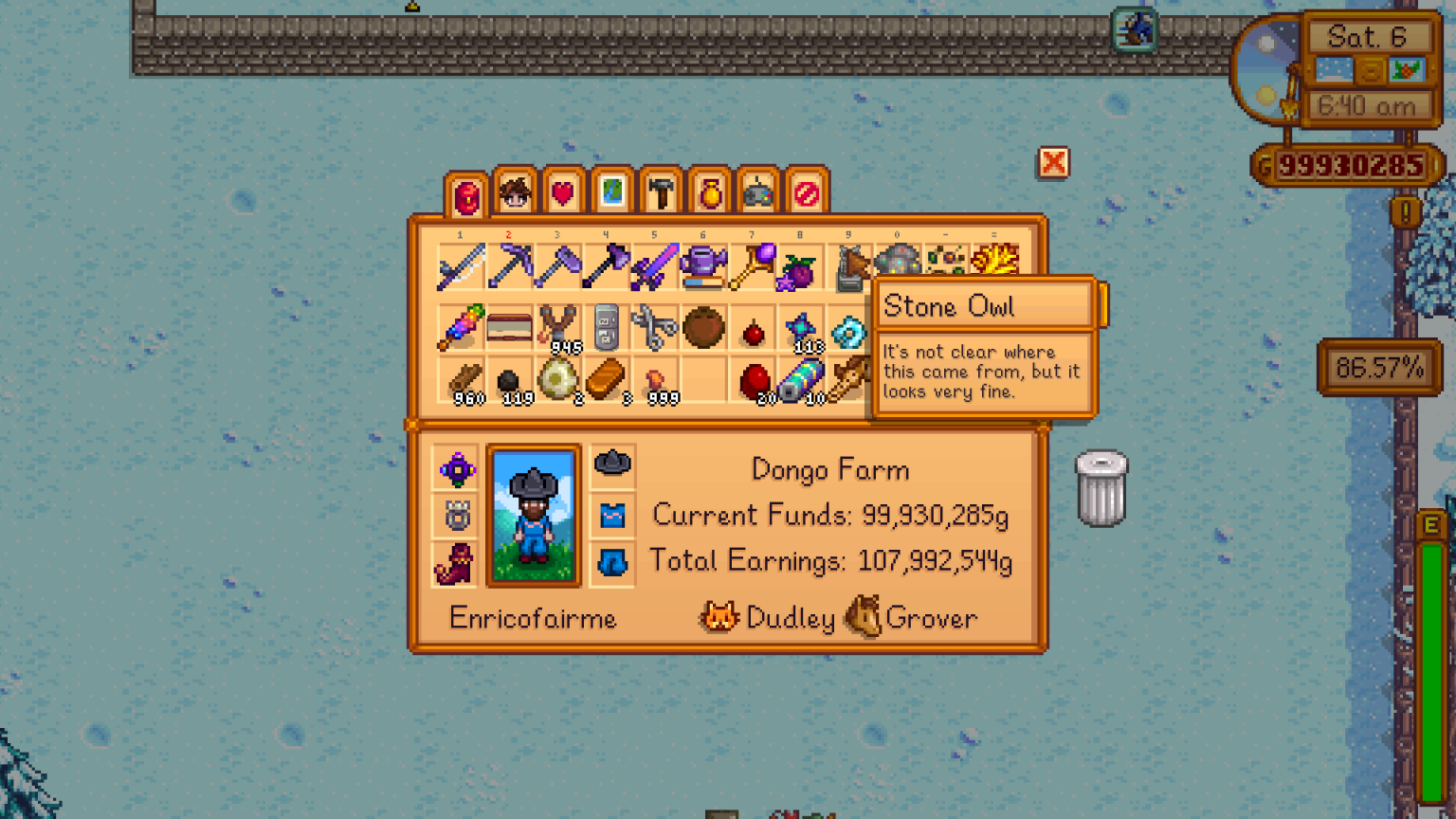 Stone Owl What it Does, Event It Unlocks Stardew Valley Hold to Reset