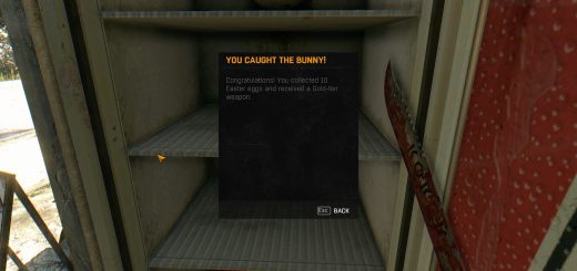 A egg hunt reward.