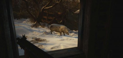 Featured image on Where to Find the Quality Meat in Resident Evil Village guide.