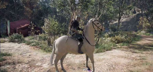 Unicorn mount in Assassin's Creed Valhalla.