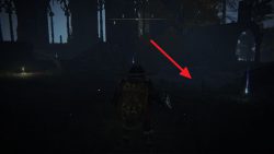 Elden Ring Ranni Quest Guide - Hold To Reset