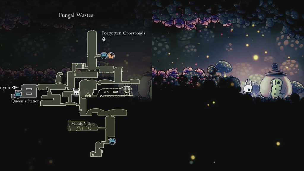 Location of a Fungal Wastes grub. 
