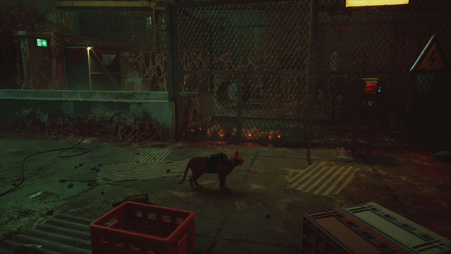 Stray Chapter 5 Rooftops Guide Hold to Reset