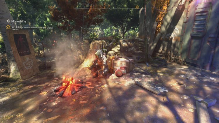 Shen Xiu in camp in Dying Light 2.