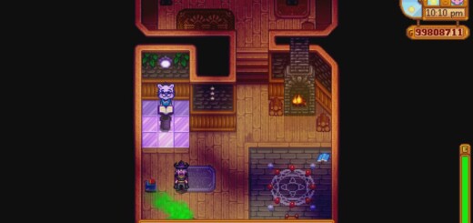 The Book of Summoning in the Wizard's Tower in Stardew Valley.