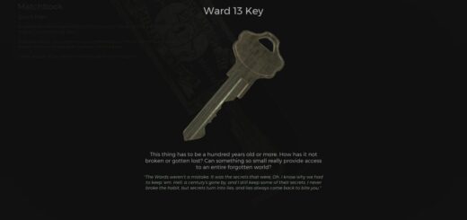 Remnant 2 Ward 13 Key.