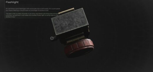 Remnant 2 Fords Safe Code.