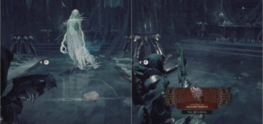 Remnant 2 Soulkey Tribute.