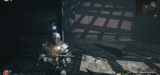 Remnant 2 Chicago Typewriter and Leto Mark II Armor set.