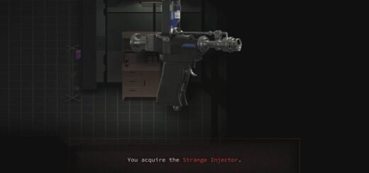 The Strange Injector in You Will Die Here Tonight.