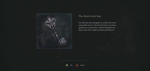 The Last Faith The Restricted Key item.