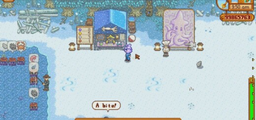 The Stardew Valley SquidFest taking place on the beach.