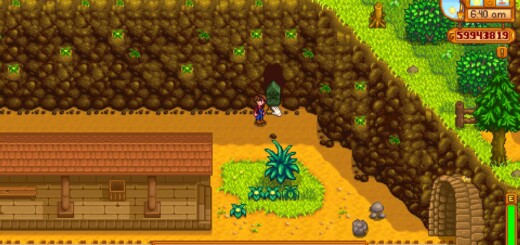 The Magical Barrier in the Railroad area of Stardew Valley.