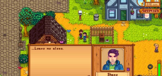 Interaction with Shane after divorcing him.