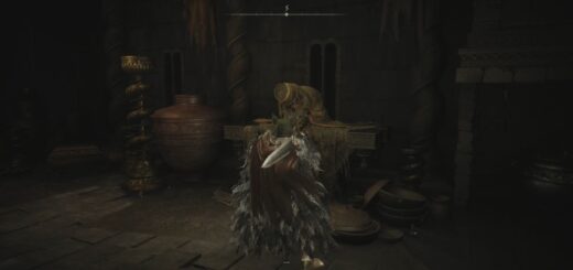 Hornsent Grandam in the Storeroom in Elden Ring.
