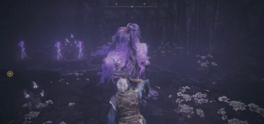 St. Trina character in Elden Ring.