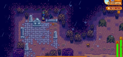 The Lost Items Shop in the Secret Woods in Stardew Valley.