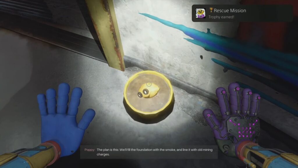 Limón in a Yellow Pot in Safe Haven.