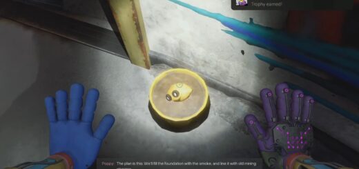 Limón in a Yellow Pot in Safe Haven.