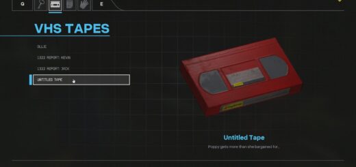The VHS Tape inventory screen in Chapter 4.