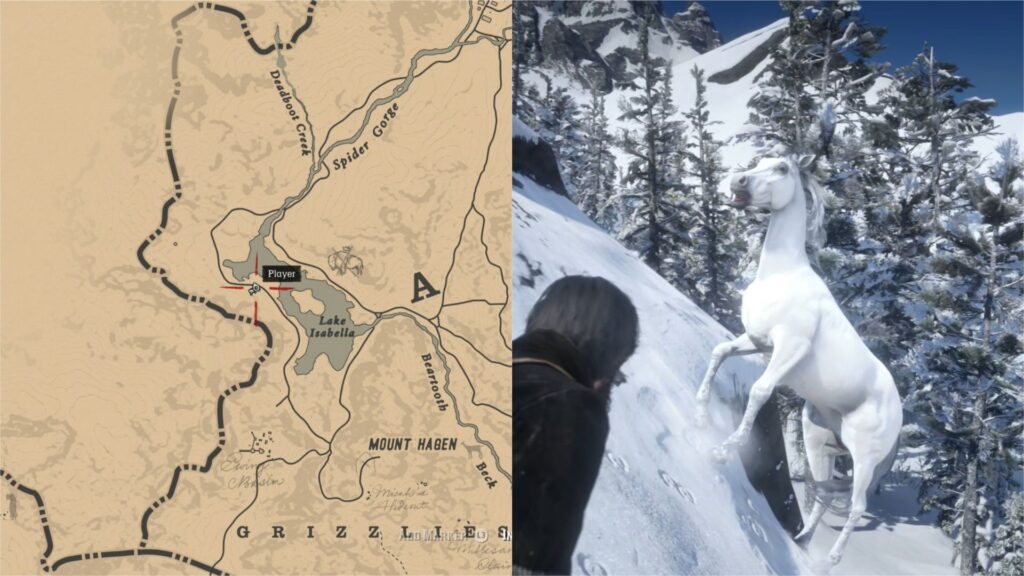 The White Arabian map location and horse in Red Dead Redemption 2. 