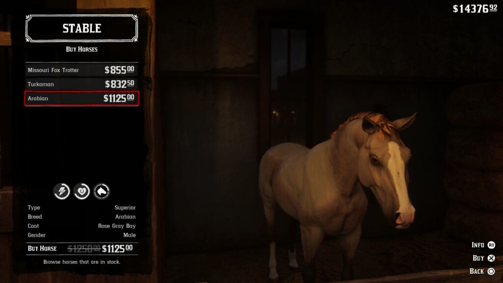 The Rose Grey Bay Arabian for sale at the Stable in Red Dead Redemption 2. 